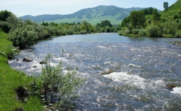 Четырехлетняя девочка и мужчина утонули в реке Ануй в Алтайском крае