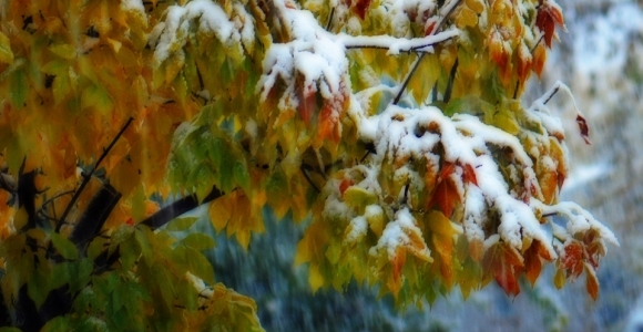 В первые дни октября на Алтае можно ожидать первый снег
