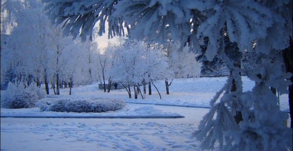Снегопад и морозы ожидаются в Алтайском крае