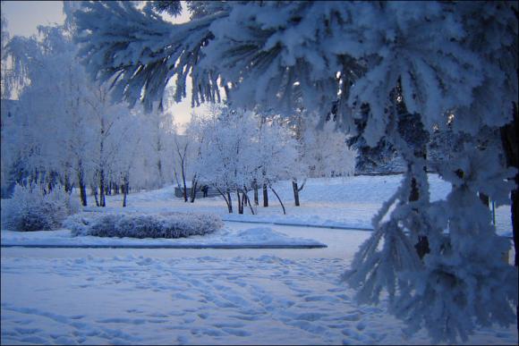 Похолодание до -25 градусов ожидается на  Алтае в ночь на 5 февраля