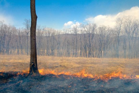 Подписчики Barnaul22 сообщают о горящих полях в пригороде Барнаула (видео)