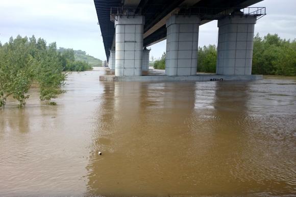Уровень воды в реке Обь достиг критической отметки