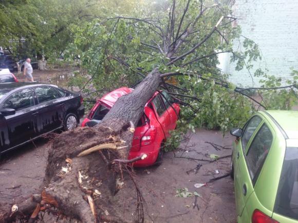 Ураган в Москве: 11 человек погибли, повалены сотни деревьев, повреждены десятки авто (фото, видео)