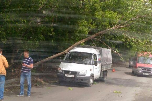 На ул. Власихинской дерево рухнуло на проезжавшую мимо 