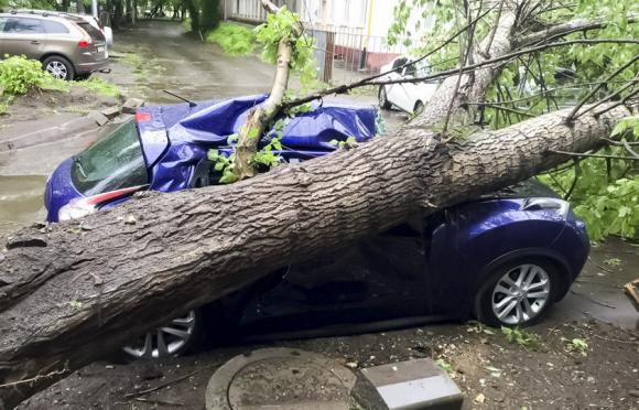 Москвичи устроили распродажу машин, пострадавших во время недавнего урагана