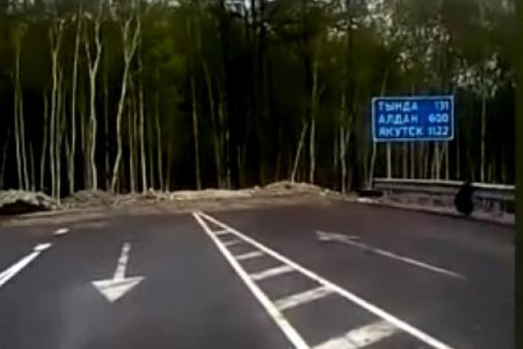Дорога в никуда: в Приамурье нашли шоссе, упирающееся в лес (видео)