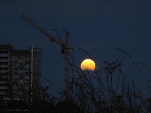 Лунное затмение над Барнаулом (фото)