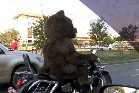 Странный мотоциклист оказался перфомансом перед премьерой клипа о Деде Медведе