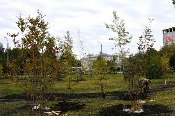 Черемухи, рябины, яблони: в районе Привокзальной площади высадили новые деревья
