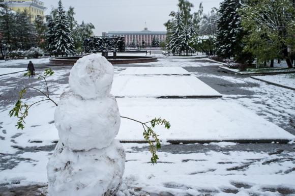 Снежный покров установится в Барнауле в ближайшее время