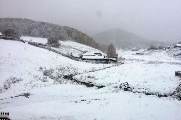 Первый снег выпал на Алтае! Жители региона делятся снимками (фото)