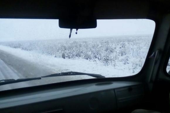 Морозной свежестью повеяло: Алтай накрыл снежный циклон (фото и видео)