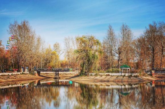 Барнаульцы могут предложить, для чего использовать пруд в парке 