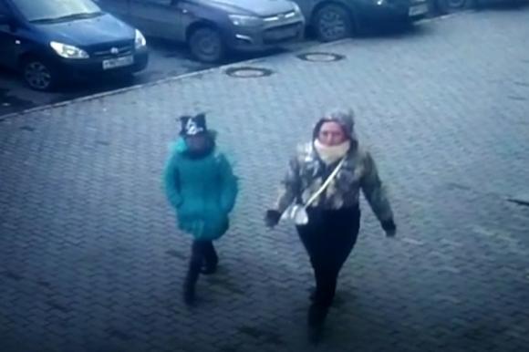 Опубликовано видео девочки с хомячком, которая обворовывает квартиры горожан (фото и видео)