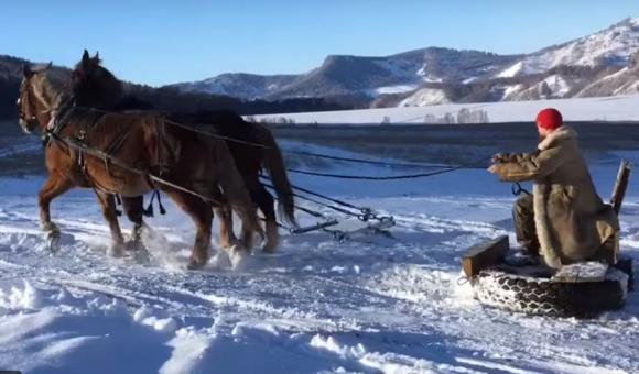 Веселый Молочник делится идеей, как чистить алтайские дороги от снега (видео)