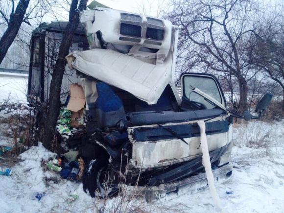 Водитель грузовика устроил серьезную аварию на трассе Р-256 (фото)
