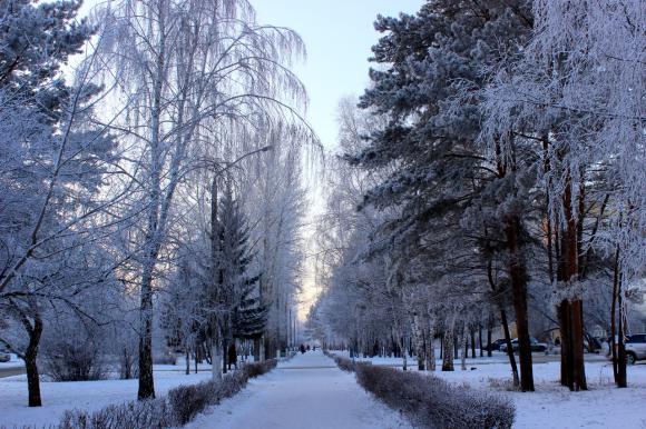 Хрустальный Барнаул: городские пейзажи, покрытые инеем, на снимках горожан (фото)