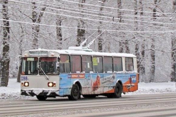 В Барнауле троллейбус зажал голову девочки в дверях - ребенок получил травму, мама ищет свидетелей
