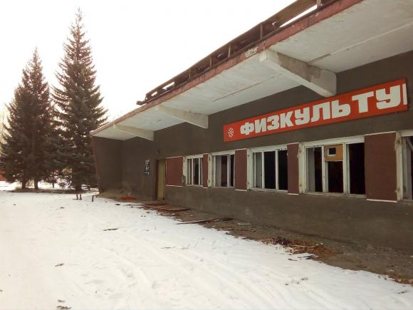 В Барнауле беспощадно пилят ели на территории заброшенной лыжной базы (фото)
