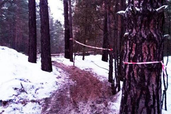 Барнаульца возмутили ленты в лесу, которые не убрали после автосоревнований (фото)