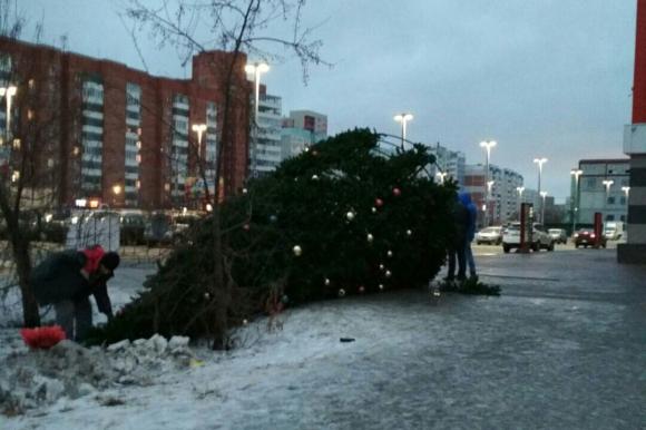 У барнаульского торгового центр из-за непогоды рухнула новогодняя елка