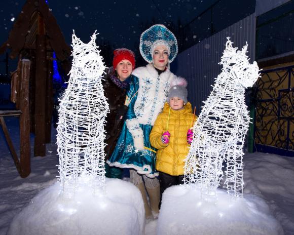 Барнаульский зоопарк по вечерам будут украшать светодиодные фигуры (фото)