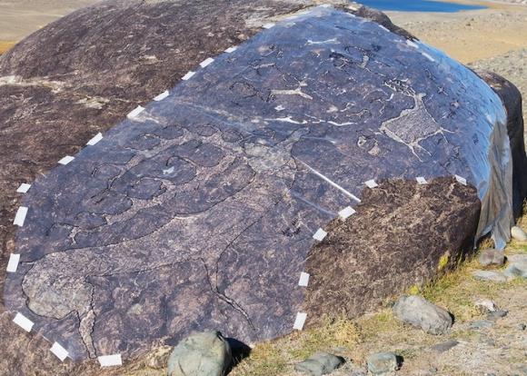Горный Алтай не перестает удивлять: археологи нашли изображение оленя на огромном валуне