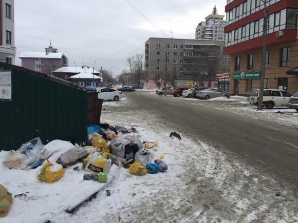Барнаулец рассказал о мусорке, которая уродует облик города (фото)