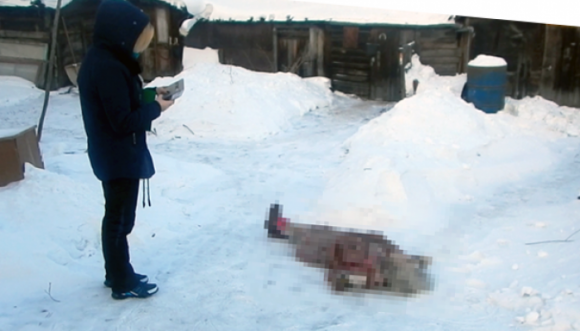 В Бийске в выходные два человека замерзли насмерть
