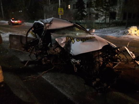 Водитель такси в Рубцовске умер после столкновения с деревом (фото)