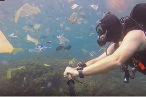 Дайвер снял заполненный мусором Индийский океан (видео)