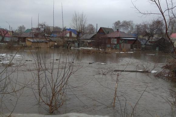 В Барнауле река Пивоварка затопила несколько частных домов (фото)