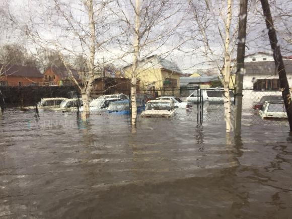 Талые воды затопили улицы Бийска и Белокурихи: машины глохнут в глубоких лужах (фото и видео)