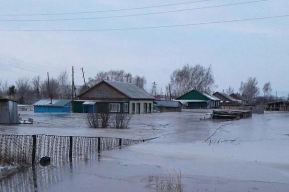 Дом-музей Шукшина в Сростках затопило во время паводка