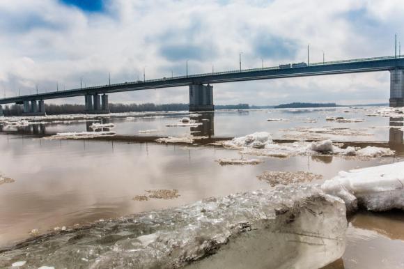 Барнаул готовится к паводку: уровень воды превысит критический более чем на метр