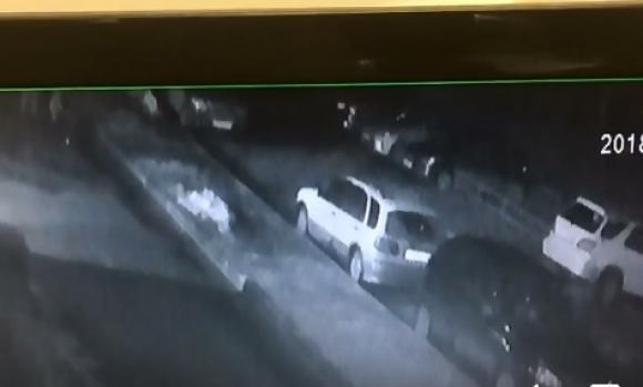В Новоалтайске пьяные вандалы специально падали на капоты машин (видео)
