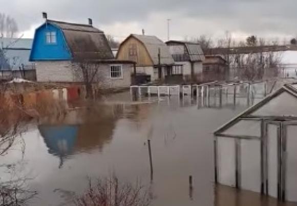 Под Барнаулом река затопила целое садоводство (видео)