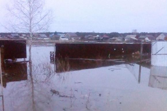 Два села под Барнаулом начало топить 11 апреля (видео)