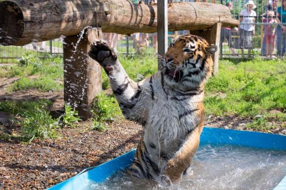 Барнаульский зоопарк вынужден поднять цены на билеты