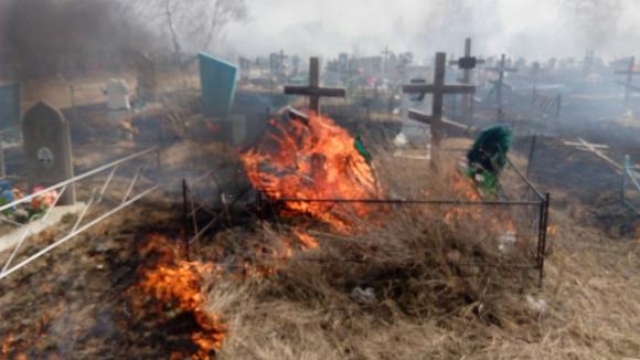 В Рубцовске из-за неосторожного обращения с огнем сгорела часть городского кладбища (фото)
