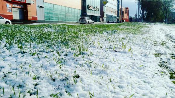 Засыпало: участники сообщества Barnaul22 поделились снимками весеннего снега (фото)