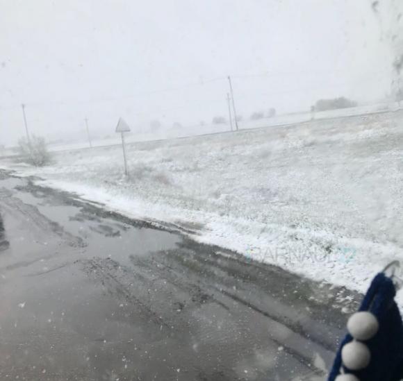 Трассу на Рубцовск заносит снегом (фото)