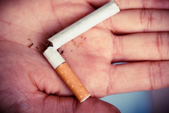 Барнаульцев призовут разрезать сигарету и бросить курить