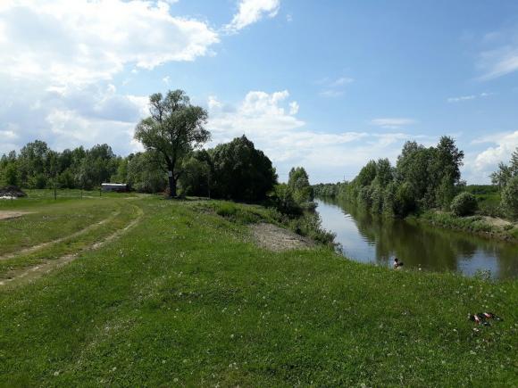 Летние новости барнаульского пригородного поселка 