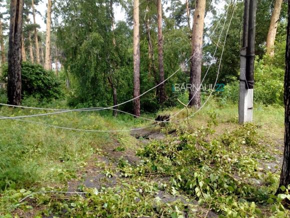 В Барнауле возобновили подачу воды - напряженной остается ситуация в поселке Цветы Алтая