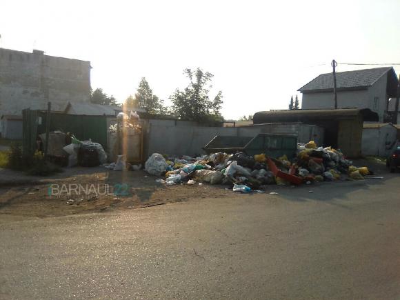 Жителей Власихи раскритиковали за мусор в поселке