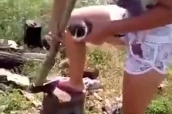 В Сети появилось видео, на котором живодерка из Алтайского края отрубила голову котенку