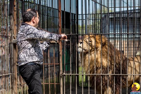 Барнаульский зоопарк приглашает на свой день рождения