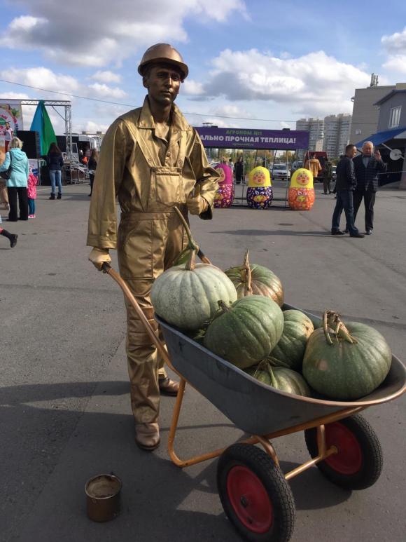 Бурый мишка и большая тыква: как прошёл в Барнауле фестиваль урожая