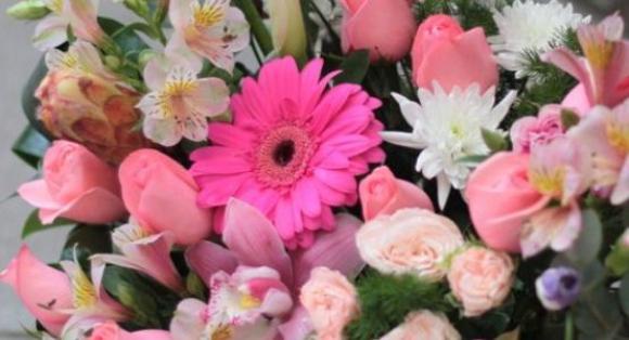 Недели низких цен на цветы во всех магазинах 